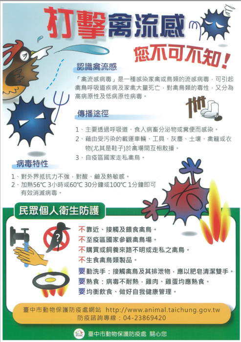 禽流感宣導海報